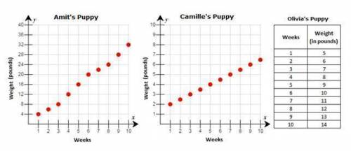 Is the relationship for Camille’s puppies weight in terms of linear or nonlinear