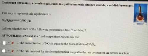 Dinitrogen tetraoxide, a colorless gas, exists in equilibrium with nitrogen dioxide, a reddish brown