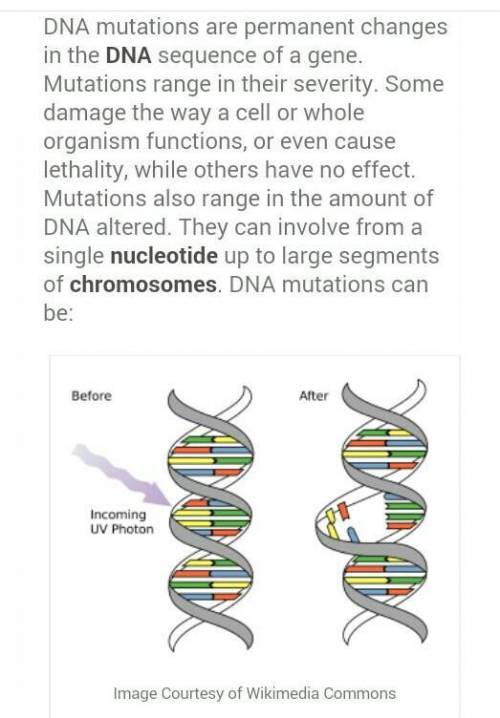 3. Forces of evolution include

a. DNA mutations
b. lack of migration
c. random mating
d. a large po