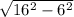 \sqrt{16^{2}-6^{2}  }