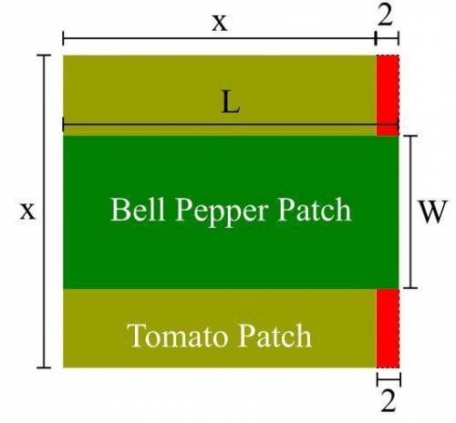 Answer all 5 parts.  1.melissa decides to reserve a patch in her vegetable garden for growing bell p