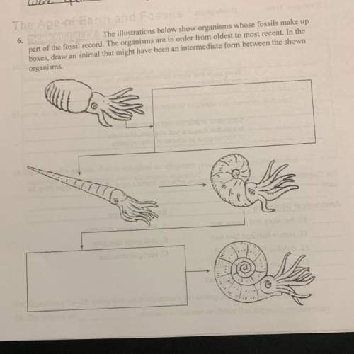 The illustrations below show organisms whose fossils make up part of the fossil record. the or