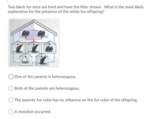 Two black-fur mice are bred and have the litter shown. what is the most likely explanation for the p