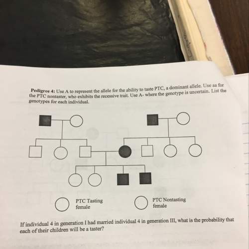 If individual 4 in generation i had married individual 4 in generation iii what is the probability t