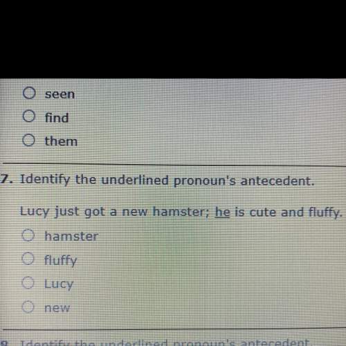 Identify the underlined pronouns antecedent.  lucy just got a new hamster; he is cute a