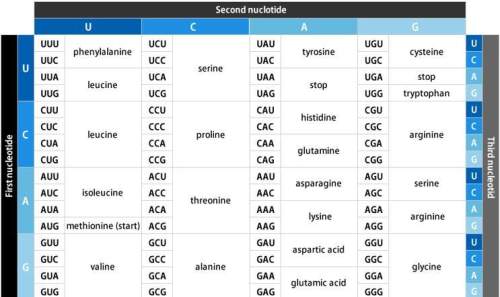 100 points! 2. use the chart above to determine which substitution mutation has the potential