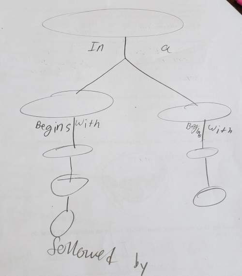 Use the following term to create a concept map: chromosome, duplication, cytokinesis, prokatyote, m