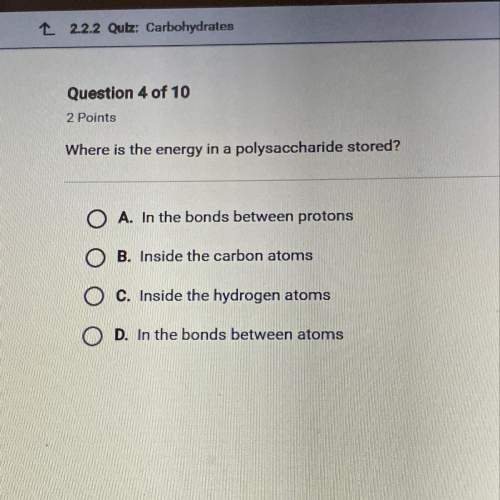 Where is the energy in a polysaccharide stored?