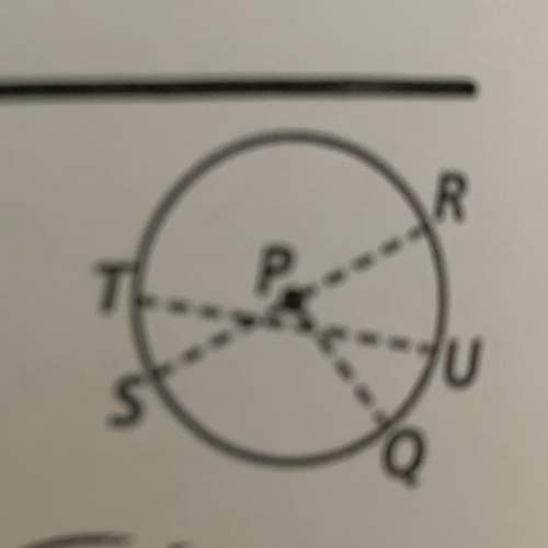 Point p is the center of the circle. name the circle, two chords, a diameter, and three radii.