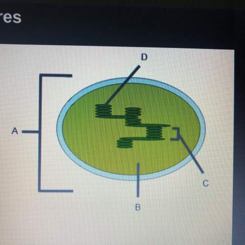 Identify structure a. identify structure b. identify structure c. identify structu