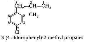 Write the structure of the following compound:=> 3-(4-chlorophenyl)-2-methylpropane