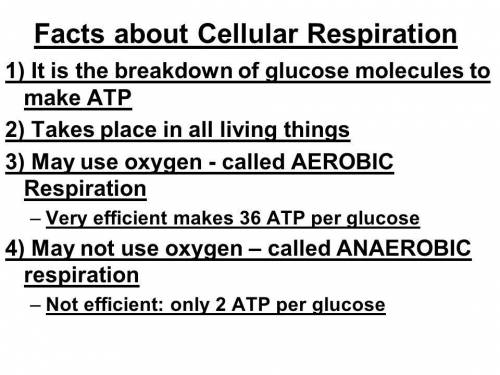 In what two places may oxygen for cellular respiration be found?
