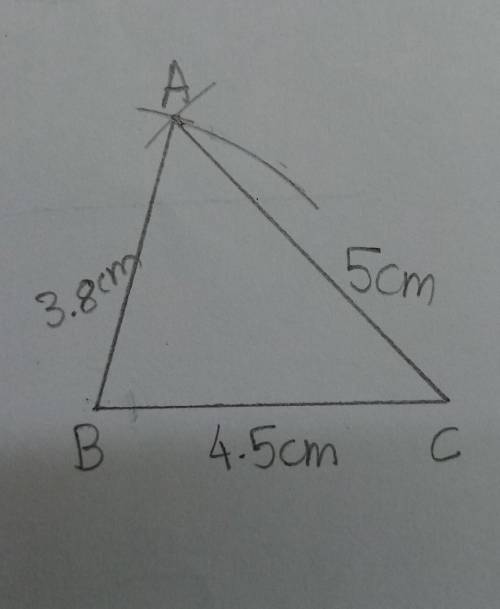 PLEASE ANSWER FASTConstruct ΔABC with AB = 3.8 cm, BC = 4.5 cm and CA = 5 cm.