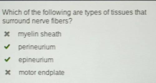 Which of the following are main components of all types of nerves?

axon
myelin sheath
dendrite
soma