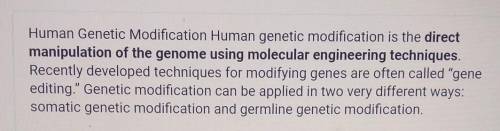 How can humans be genetically modified