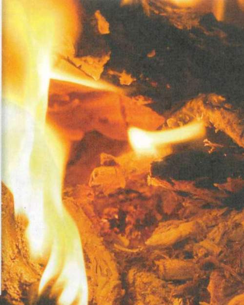 Use the boxes provided to identify the wood, ashes, and flames involved in the chemical change. then