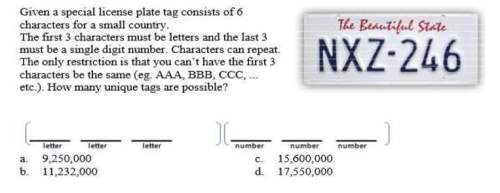 Given a special license plate tag consists of 6  characters for a small country.  the fi