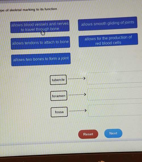 Match each type of skeletal marking to its function.