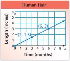 How long does it take hair to grow 8 inches?