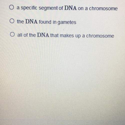 Which phrase is the best definition of a gene?