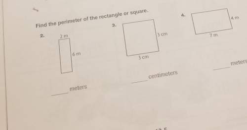 Find the perimeter of the rectangle or square
