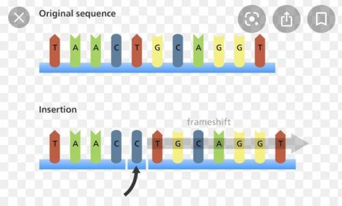 An insertion mutation example