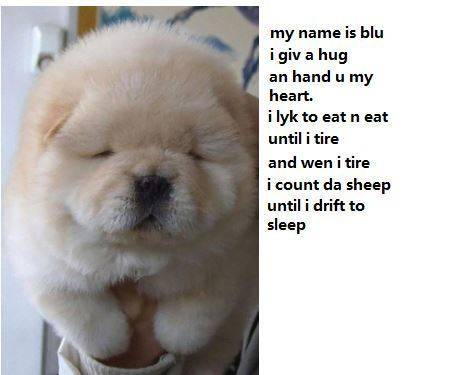 Me with writing a poem about my dog !  (he is very chubby but still a puppy. his name is blue and he