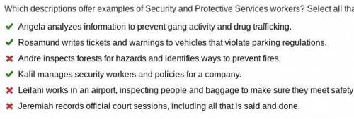 Which descriptions offer examples of Security and Protective Services workers? Select all that apply