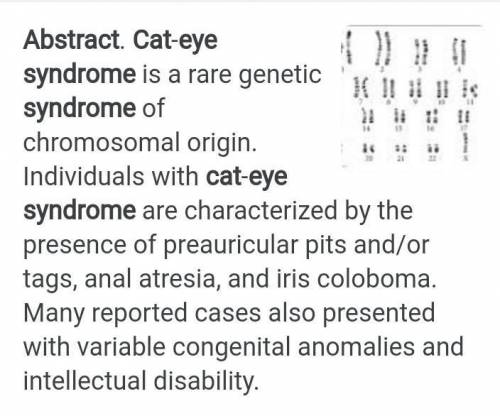 What's a summary or abstract about cat eye syndrome?