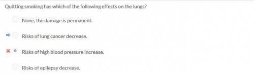 Quitting smoking has which of the following effects on the lungs?