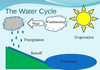 Arrange the process of the water cycle in correct order, starting with the heat from the sun.