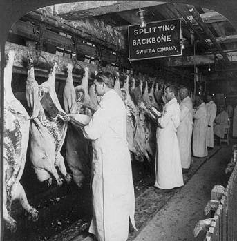 Dorothy worked at a meat packing plant during the 1920s. what would she have been most surprised to 