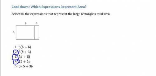 Which Expressions Represent Area?