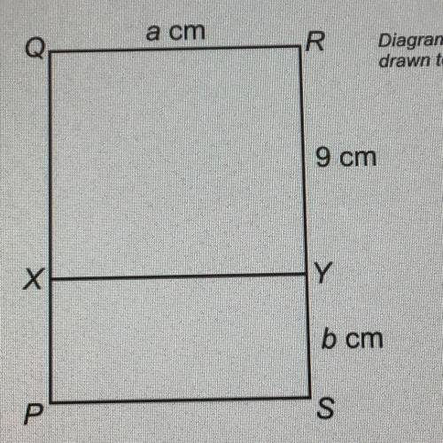 Osetion Progress

Homework Progress
a cm
R
Dia
dra
In the diagram shown,
PQRS is a rectangle,
XY is