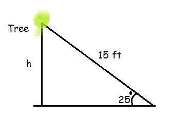 A 15ft. wire is tied to the top of a tree to provide support. If the wire forms a 25° angle with the