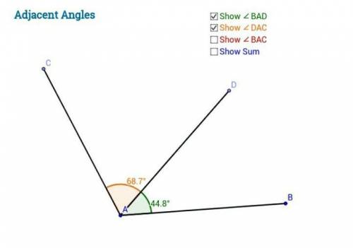 What are adjacent angles​?​