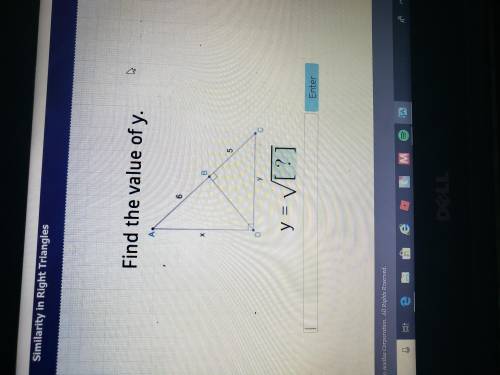 Find the value of y for this triangle