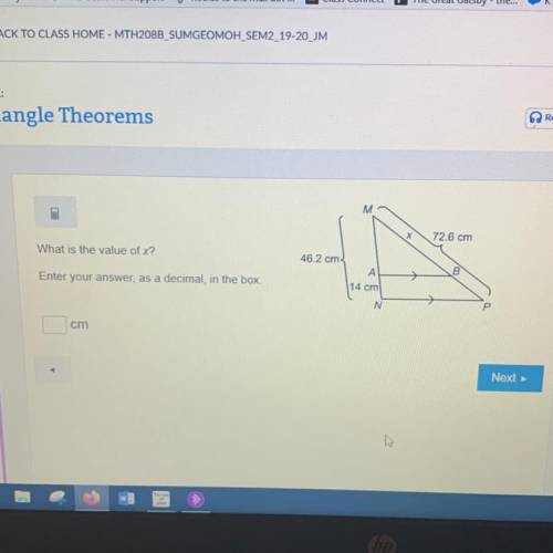 What is the value of x?