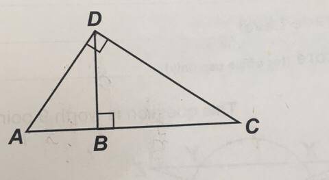 Find AB if BD = 10 cm and BC = 25 cm