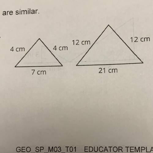 Explain how you know that each pair of triangles are similar. Geometry  15 pts.