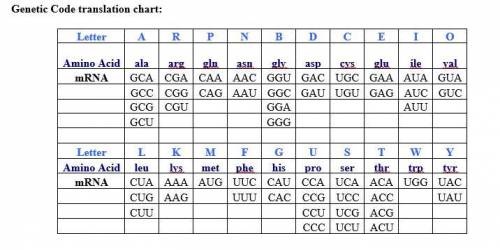 Using the translation chart, what would I change these to? (A T G) (G T A) (T T C) (G G T) (C G T) P
