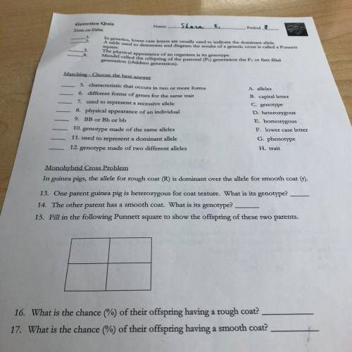 What is answer #1 through17