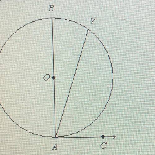 If mBY = 41°, what is m of angle YAC? The figure is not drawn to scale. (1 point) 98°, 139°, 69.5°,