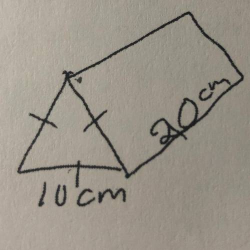 Assuming the volume of a trigonal prism, who has a side of 10cm and a length of 20 cm, is 866cm^3, w