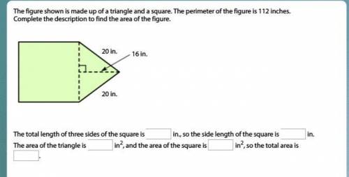 Whats the area? PLEASE HELP