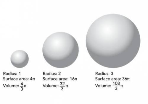 Which of the three cells, if any, has the greatest surface-area-to-volume ratio? a. the cell with ra