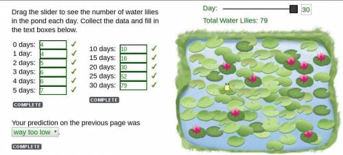 Drag the slider to see the number of water lilies in the pond each day. Collect the data and fill in