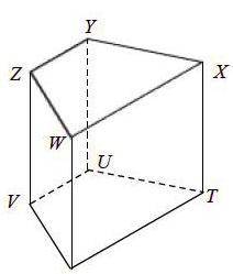 C) Name all segments parallel to ZS.  VZ SW OR WZ