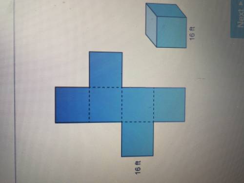 Here is a picture of a cube, and it’s net of this cube. What is the surface area for this cube? ( pl