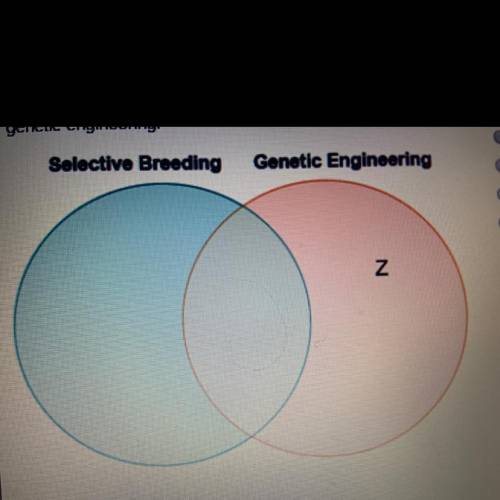 Sherry draws a diagram to compare selective breeding and genetic engineering. Which label belongs in